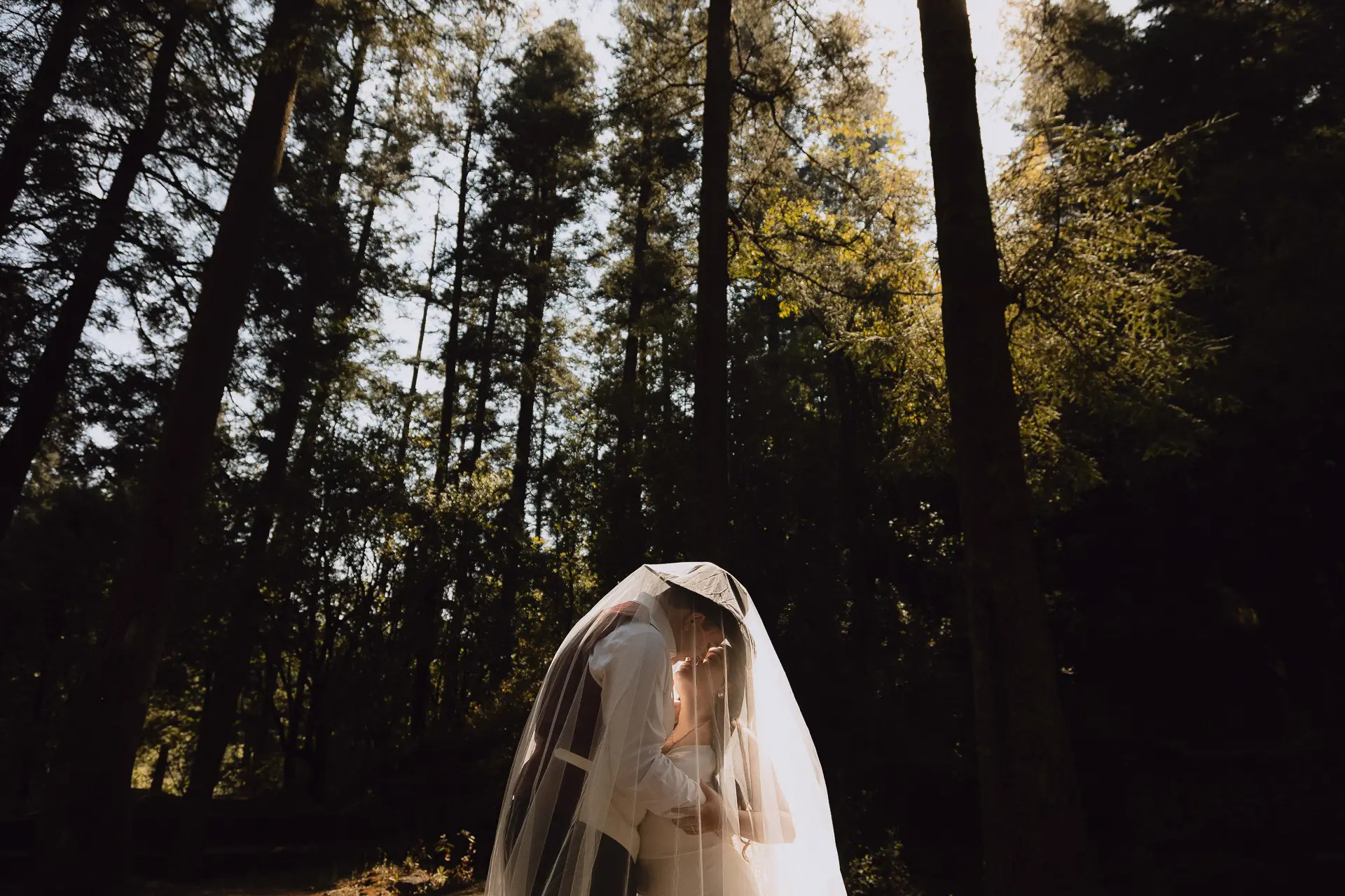 Novios besándose envueltos en velo translúcido en bosque con luz dorada, fotografía de bodas Jorge Salgado